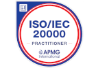 Risk Management Practitioner